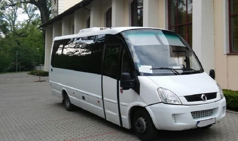 Pest: Bus order in Pécel in Pécel and Hungary