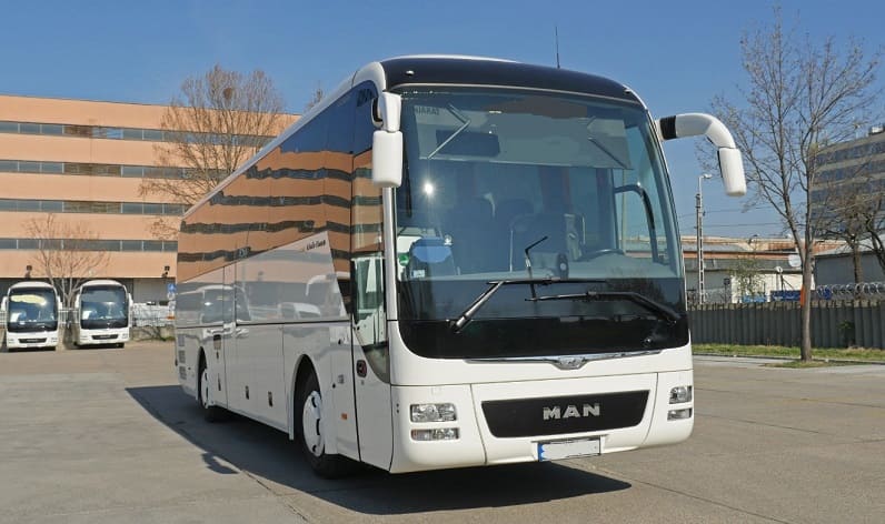 Pest: Buses operator in Érd in Érd and Hungary