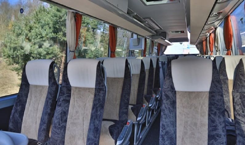 Hungary: Coach charter in Pest in Pest and Budaörs